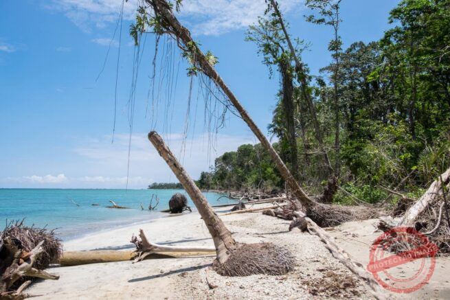 Costa Rica - Réserve naturelle de Cahuita
