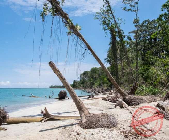 Costa Rica - Réserve naturelle de Cahuita