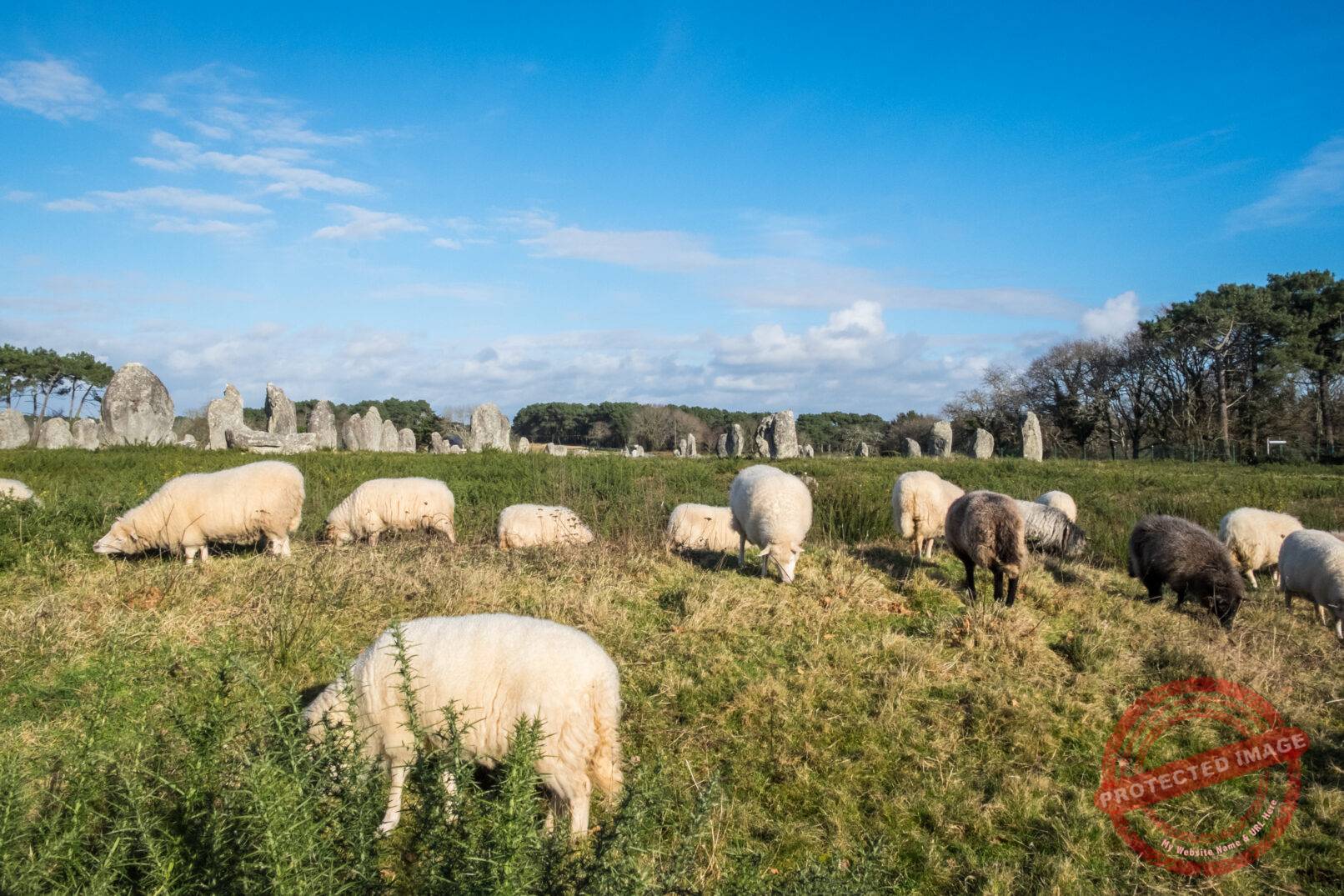 Alignements de Carnac