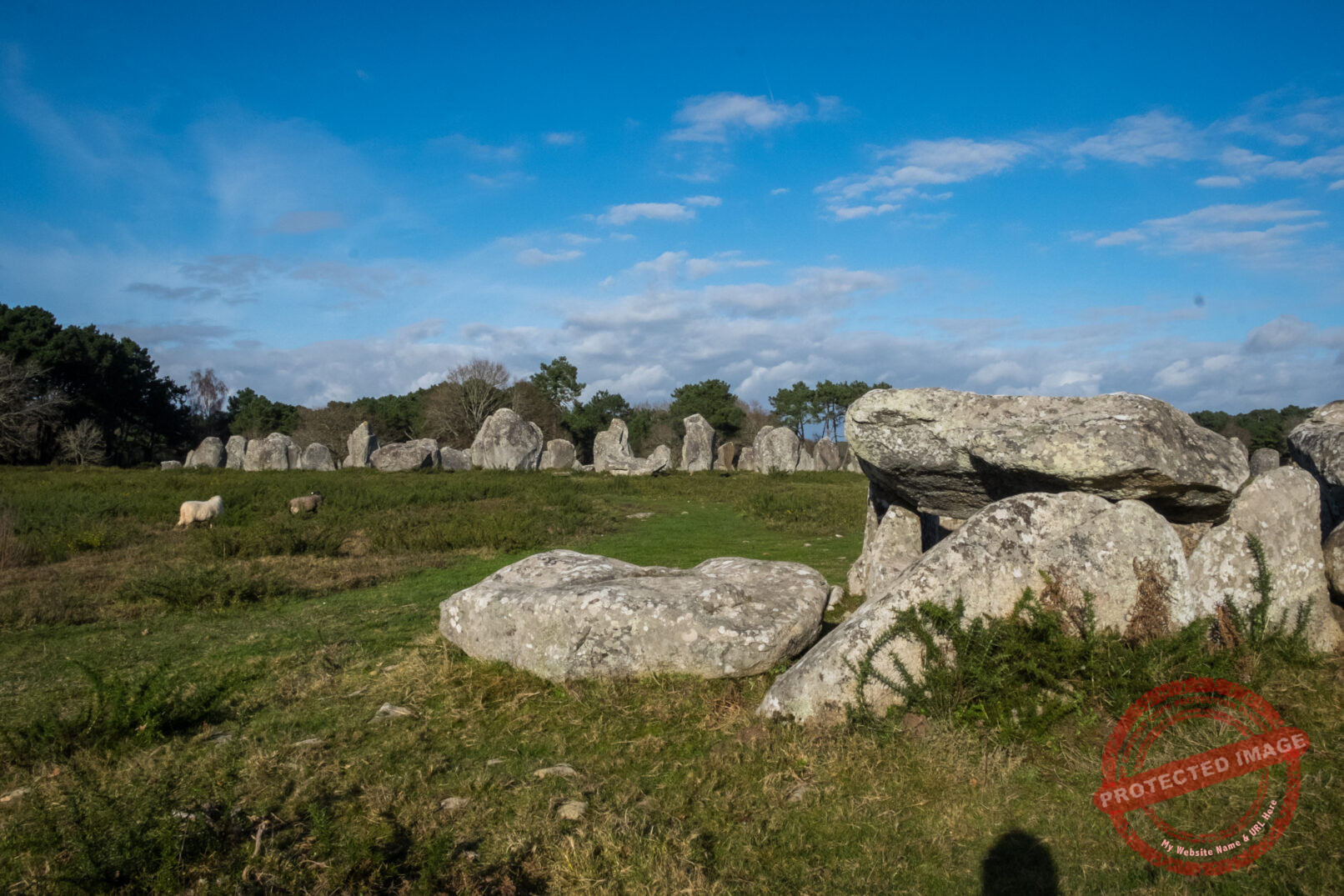 Alignements de Carnac