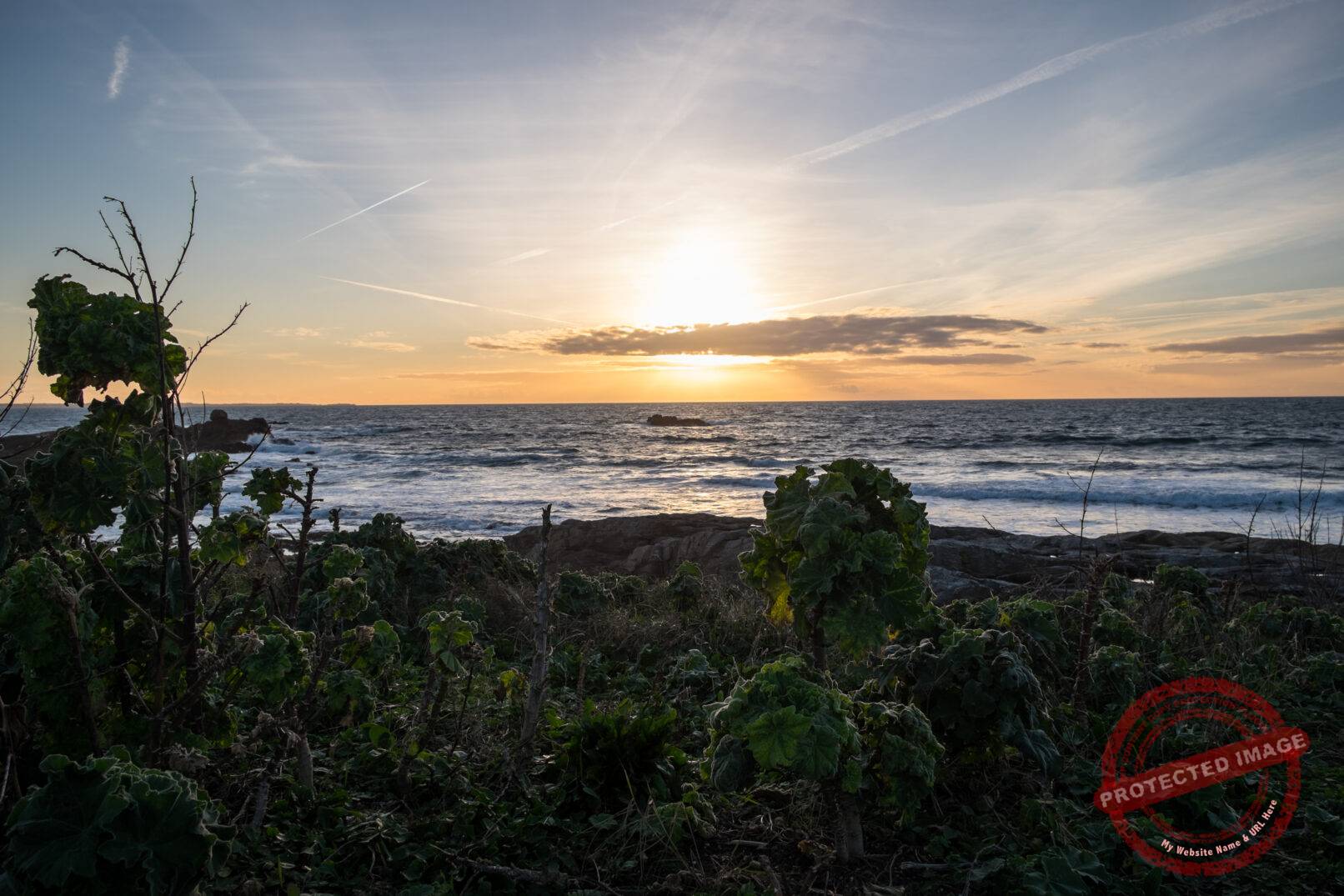 Quiberon - Côte sauvage