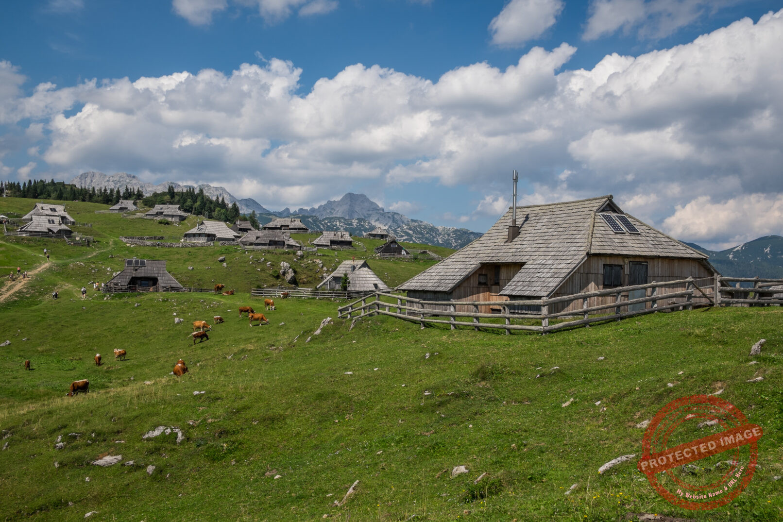 Velika Planina
