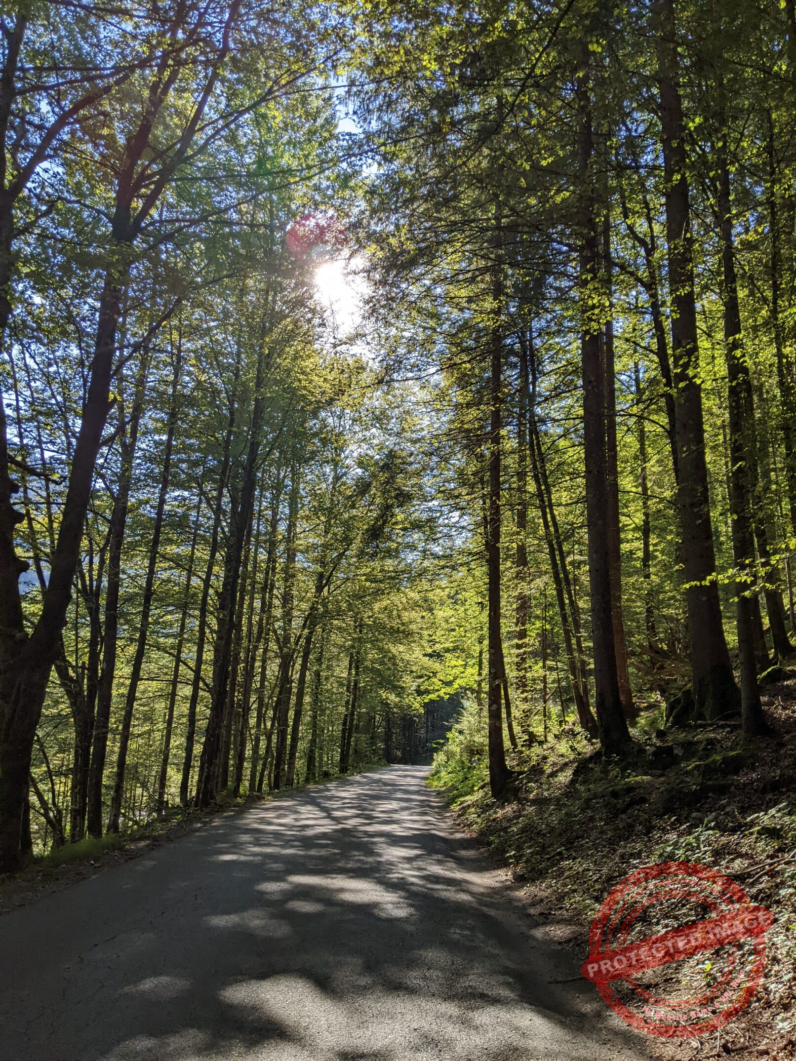 Parc National de Triglav