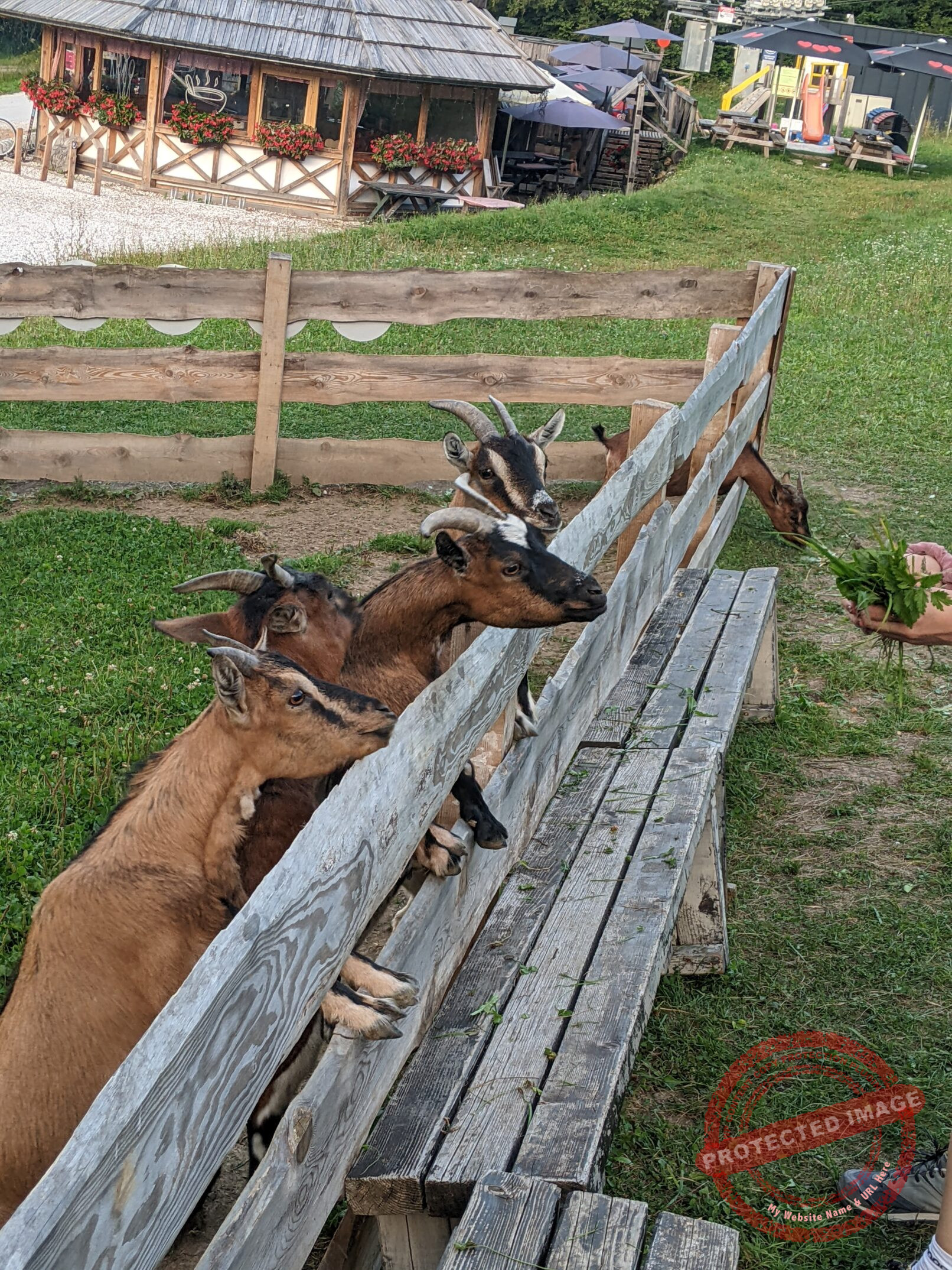 Parc National de Triglav