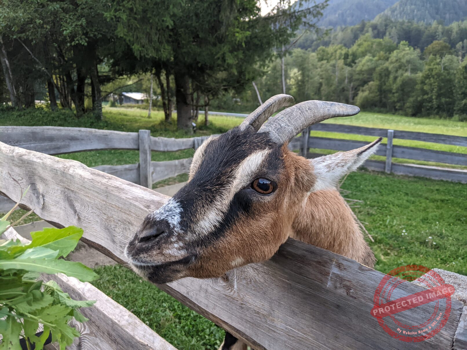 Parc National de Triglav